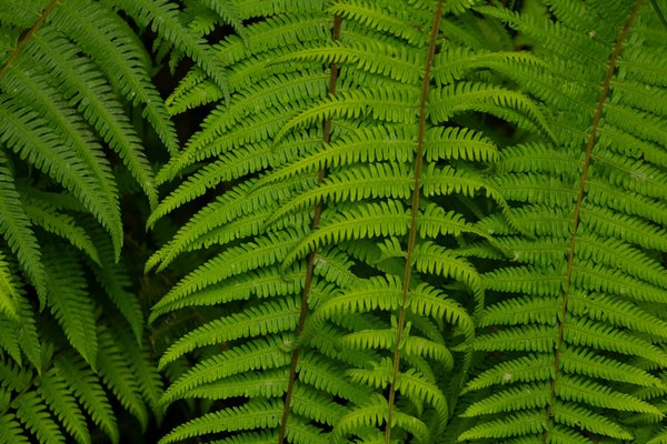 Optimisez la gestion de votre portefeuille en toute simplicité